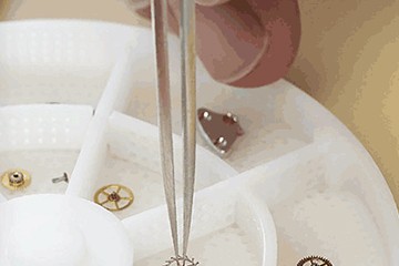 石家庄江诗丹顿官方售后服务中心在哪里